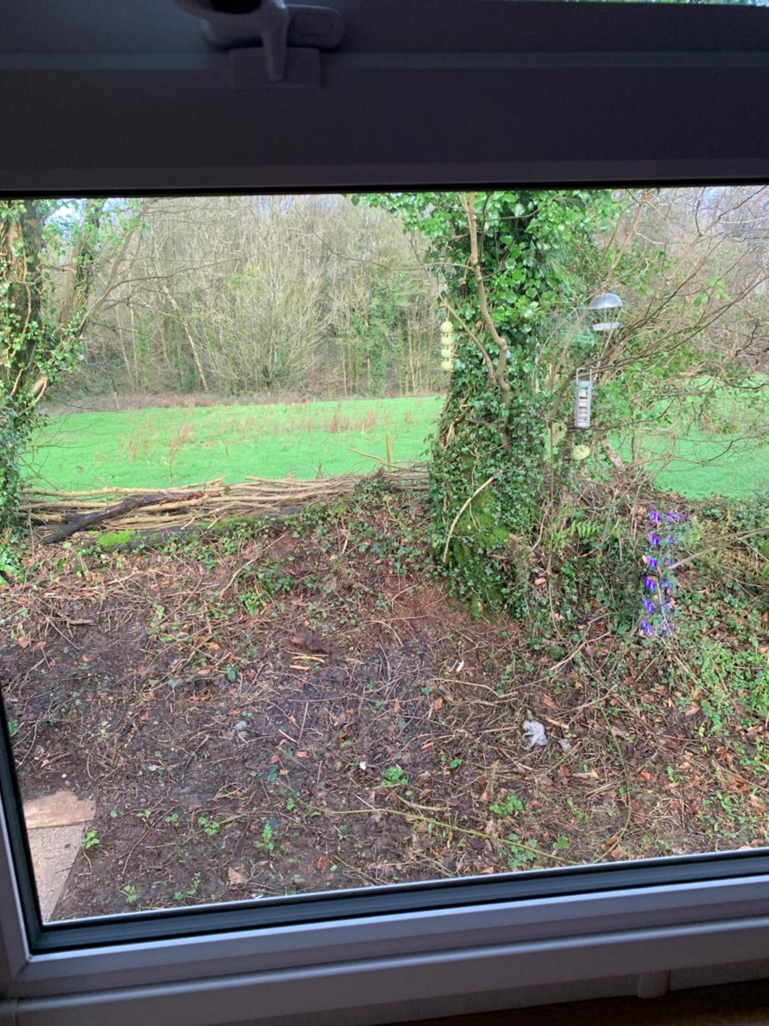 4 Devon Country, Bideford Bay Holiday Park Bucks Mills Exteriör bild