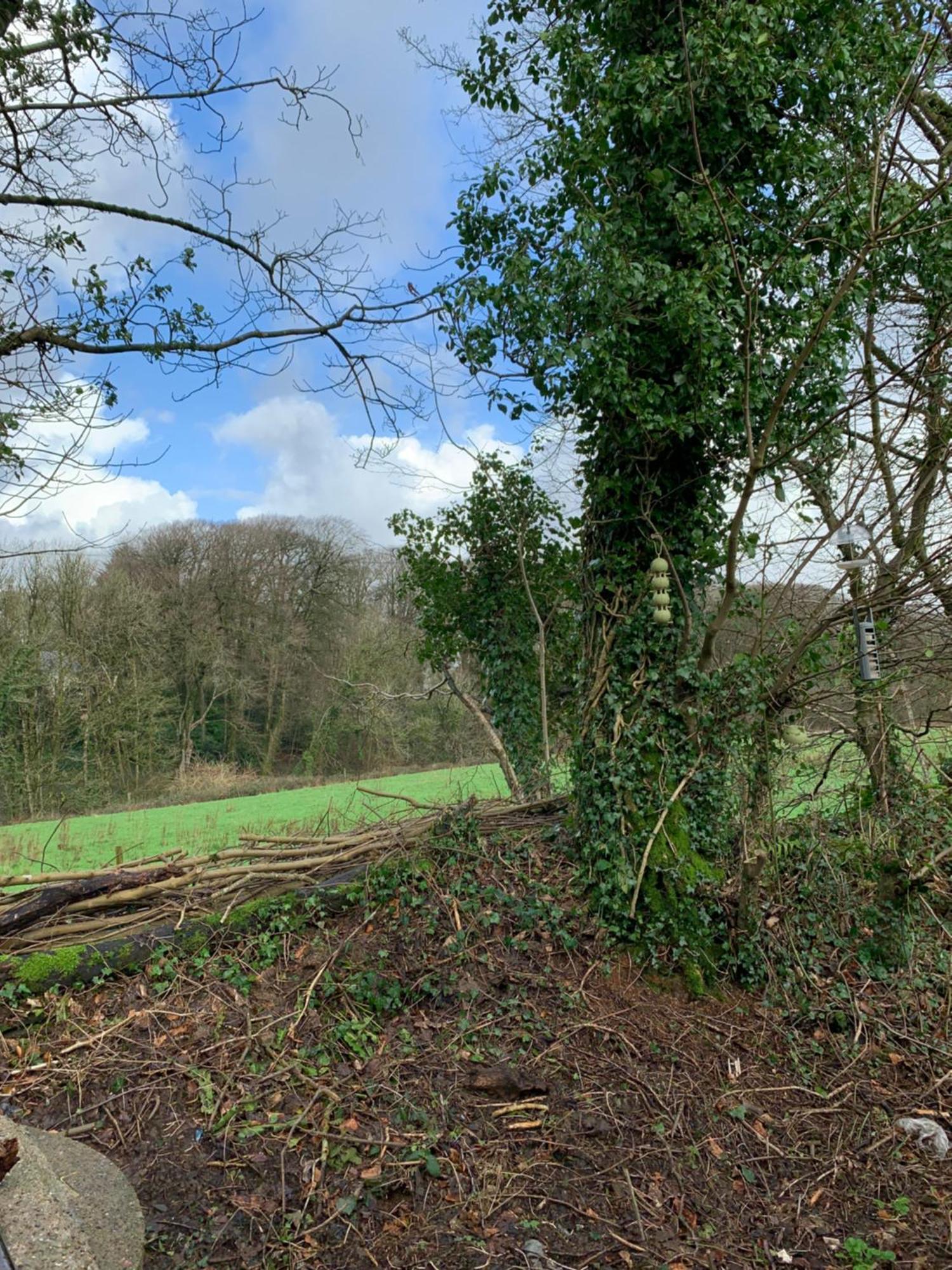 4 Devon Country, Bideford Bay Holiday Park Bucks Mills Exteriör bild